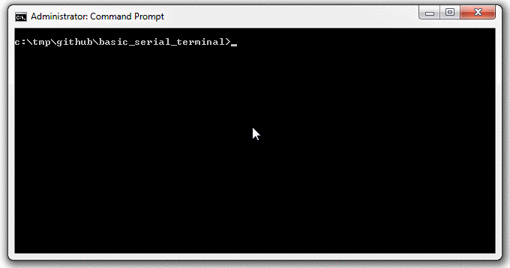 This pseudo terminal can run a few necessary commands