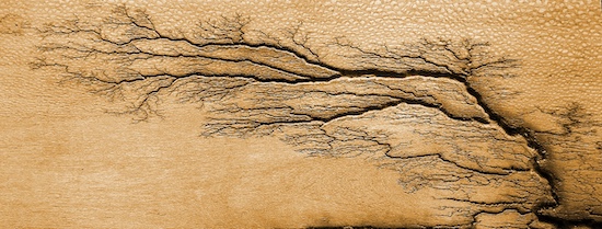 Lichtenberg figures grooved by electricity in wood (from Bdr9678@Wikipedia, CC BY-SA 4.0)